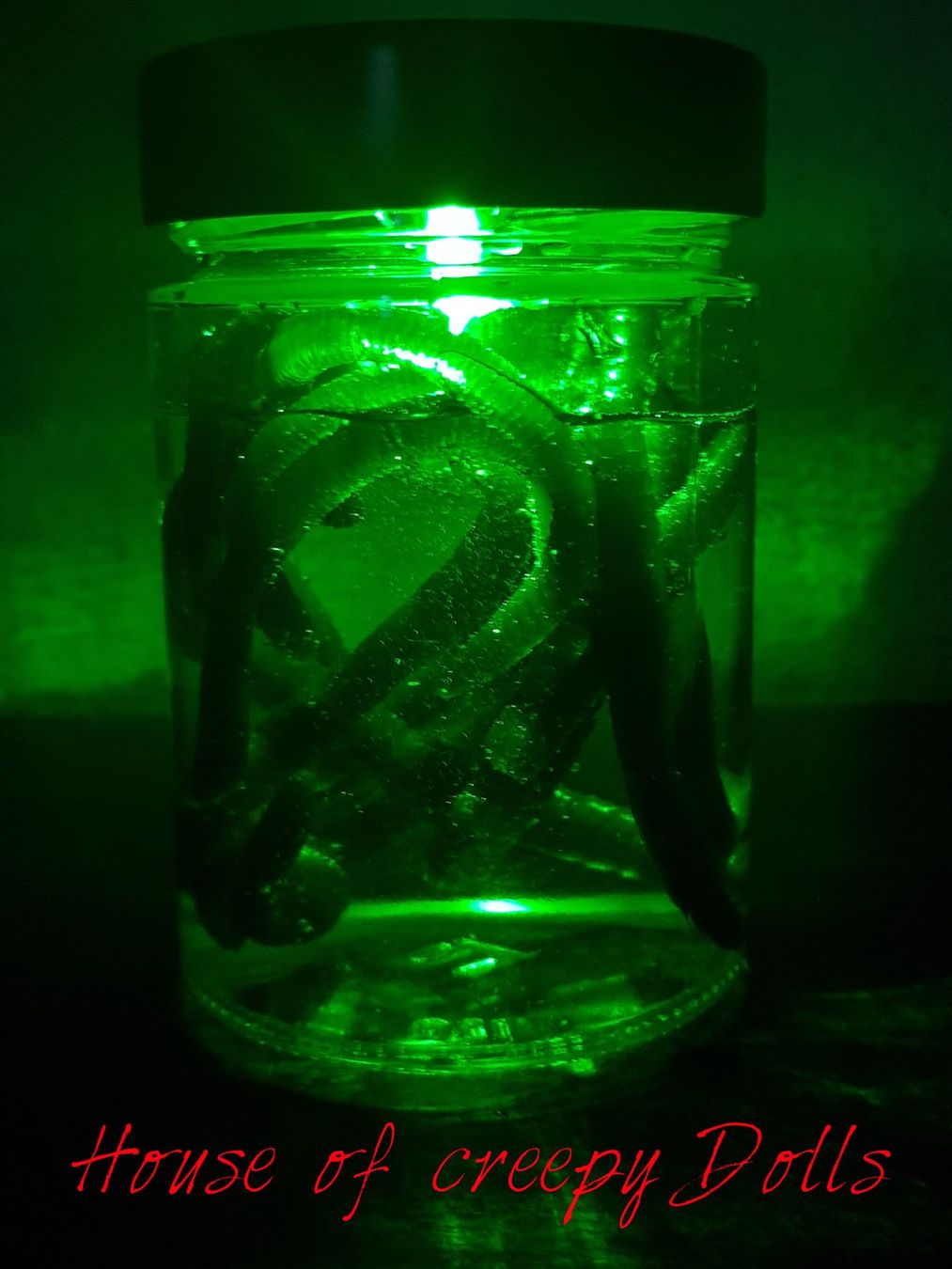 Bicchieri: HORROR / HALLOWEEN GLAS MIT WÜRMER – Nuovo e nell'imballaggio originale da Root venduto da LifestyleAccessoires