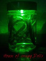 HORROR / HALLOWEEN GLAS MIT WÜRMER