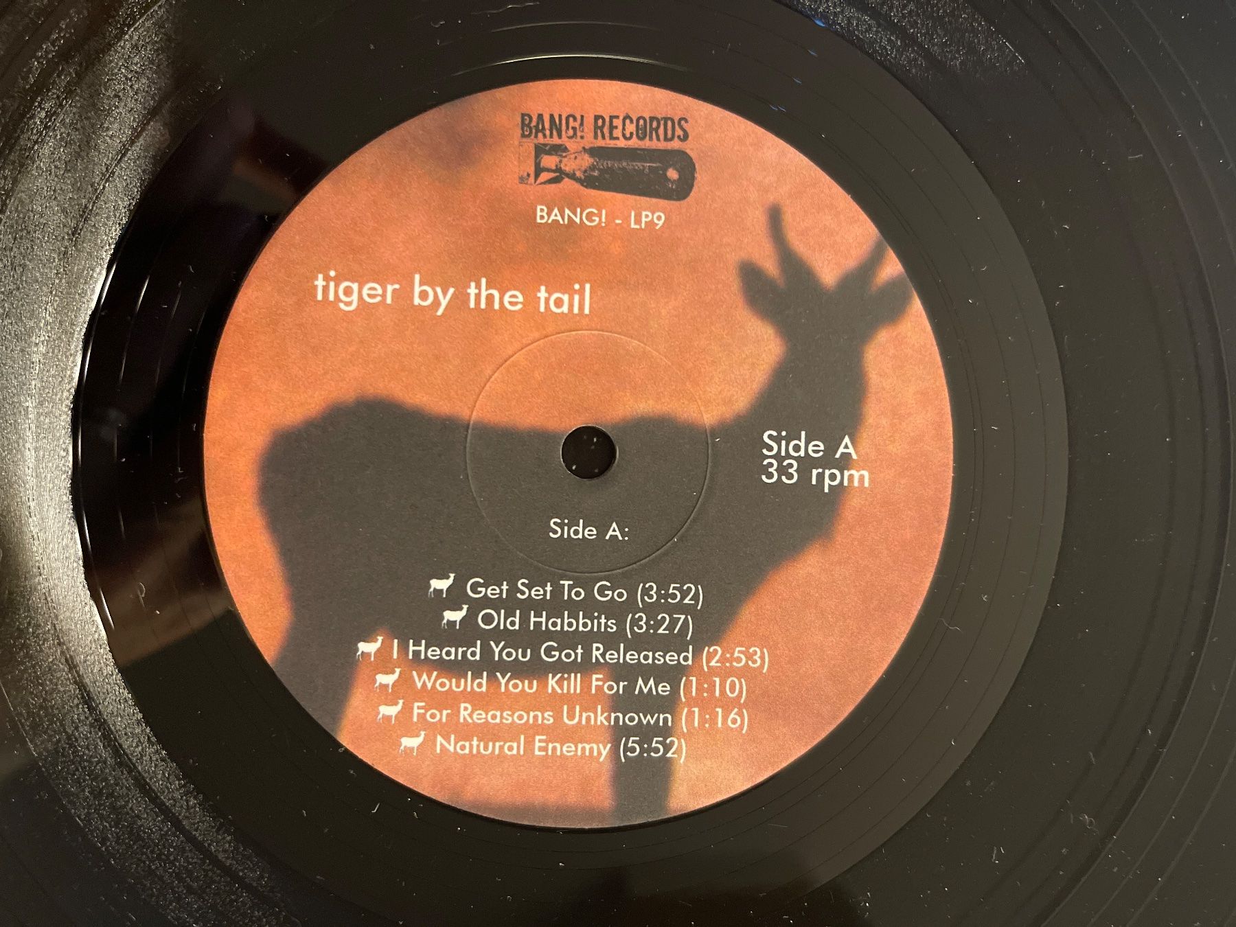 Dischi in vinile: S6/Tiger By The Tail - Limitiert – Usato da Frutigen venduto da Philippe_jsp 2