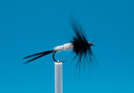 10 neue Fliegen