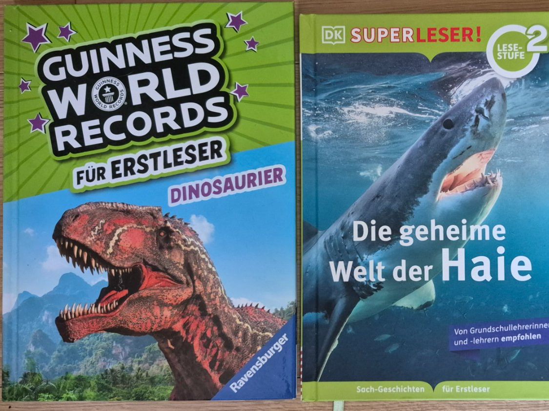 Libri: 2 Erstlesebücher: Guinness, Haie – Usato da Wettingen venduto da Hornero2