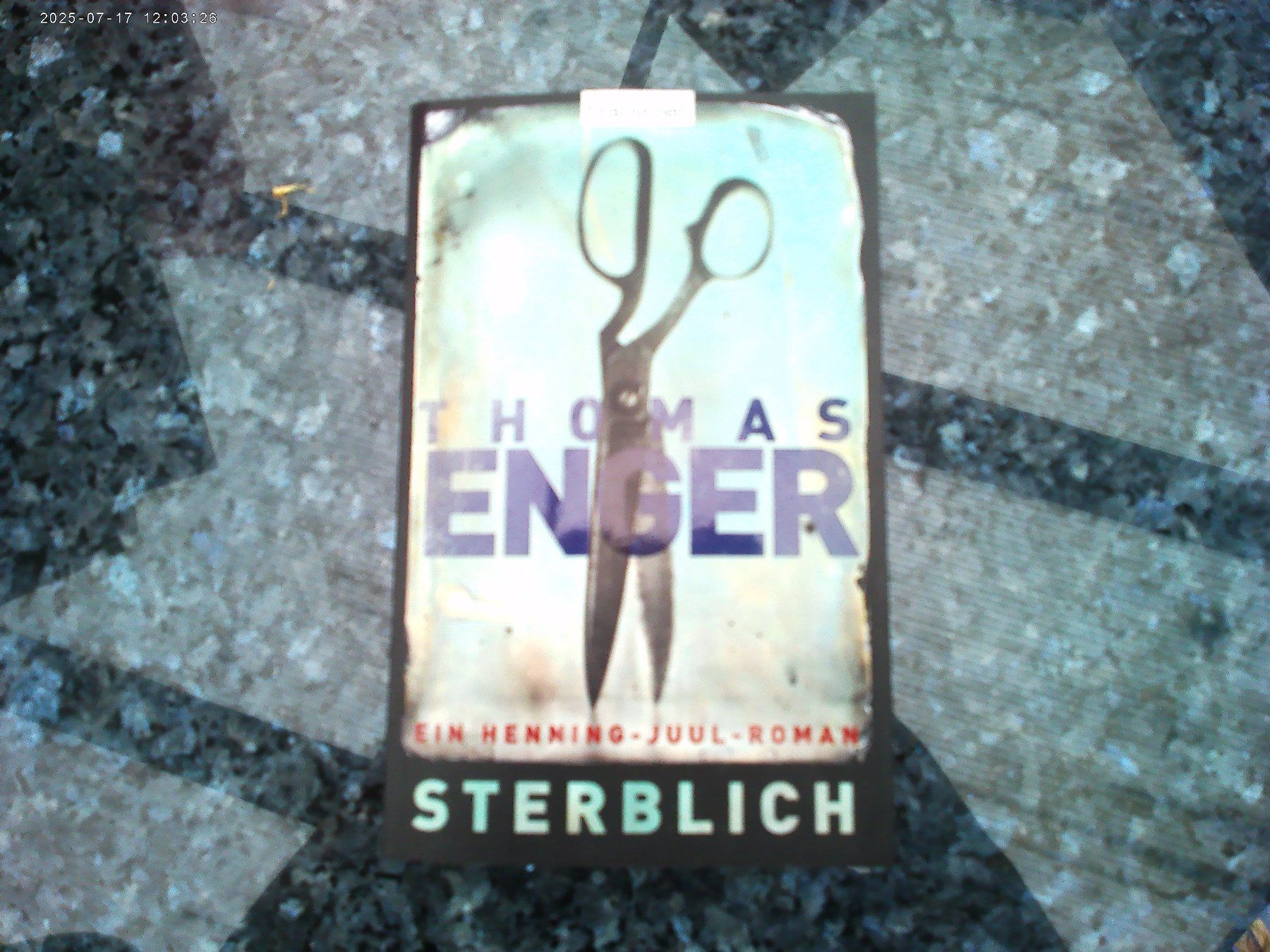 Libri: Sterblich von Thomas Enger – Usato da reitnau venduto da Sib7