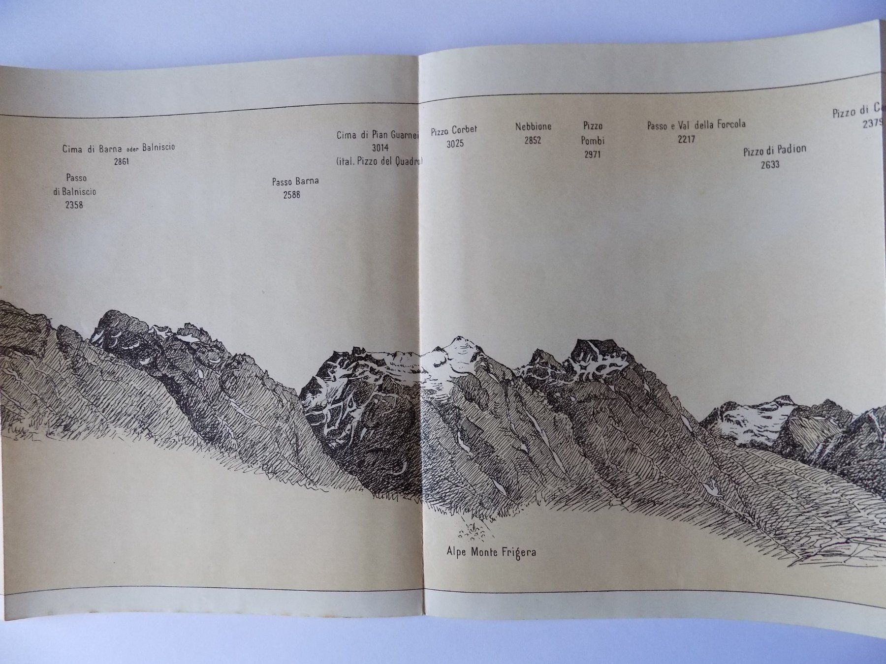 Incisioni: Panorama der Misoxer Alpen 1904 – Usato da Risch venduto da Antikfee 2