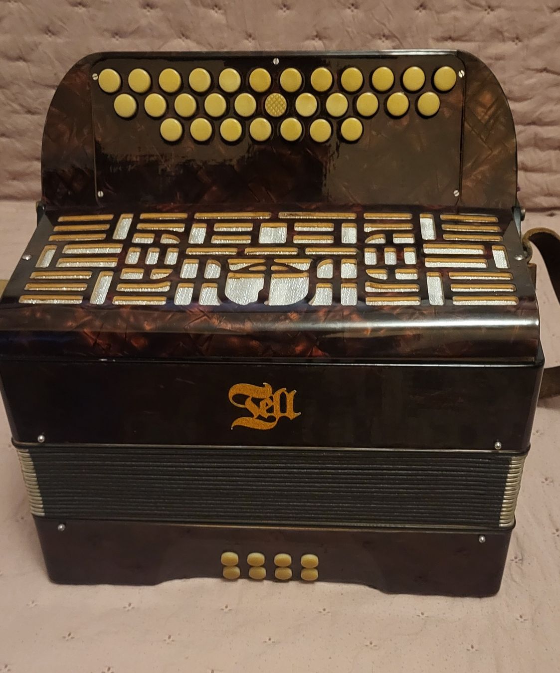 Strumenti musicali: Accordéon Tell Bachembulach Diatonique – Usato da Penthalaz venduto da EvandroLuz 5