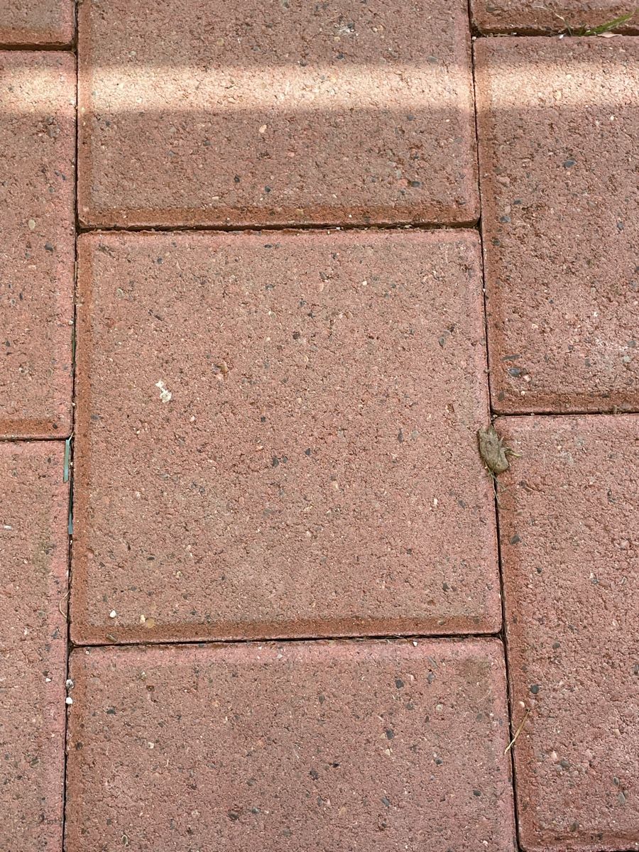 Rivestimenti per pavimenti: Verbundsteine gebraucht, ca. 20m2 gratis – Usato da Embrach venduto da Gauvain1