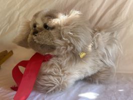 Steiff Hund Plüschtier beige mit roter Schleife gebraucht