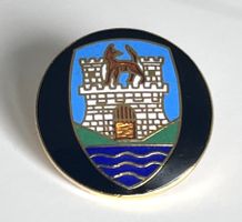 Pin Emblem Wolfsburg VW - sehr selten