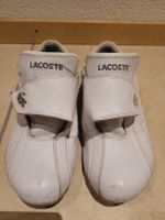 Lacoste nr.40