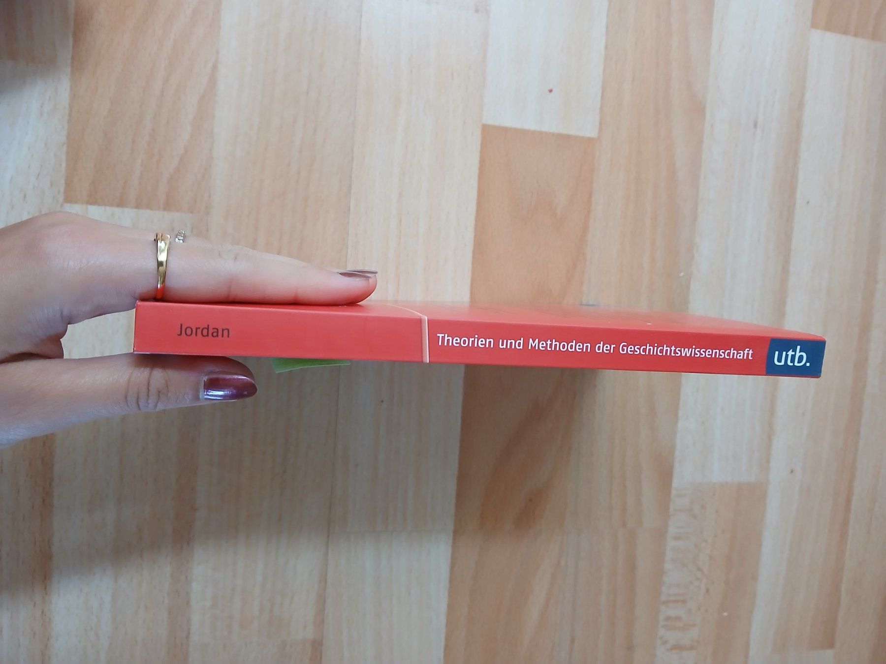 Libri: Theorien und Methoden der Geschichtswissenschaft – Nuovo (secondo la descrizione) da Bärschwil venduto da kik_c28v 1