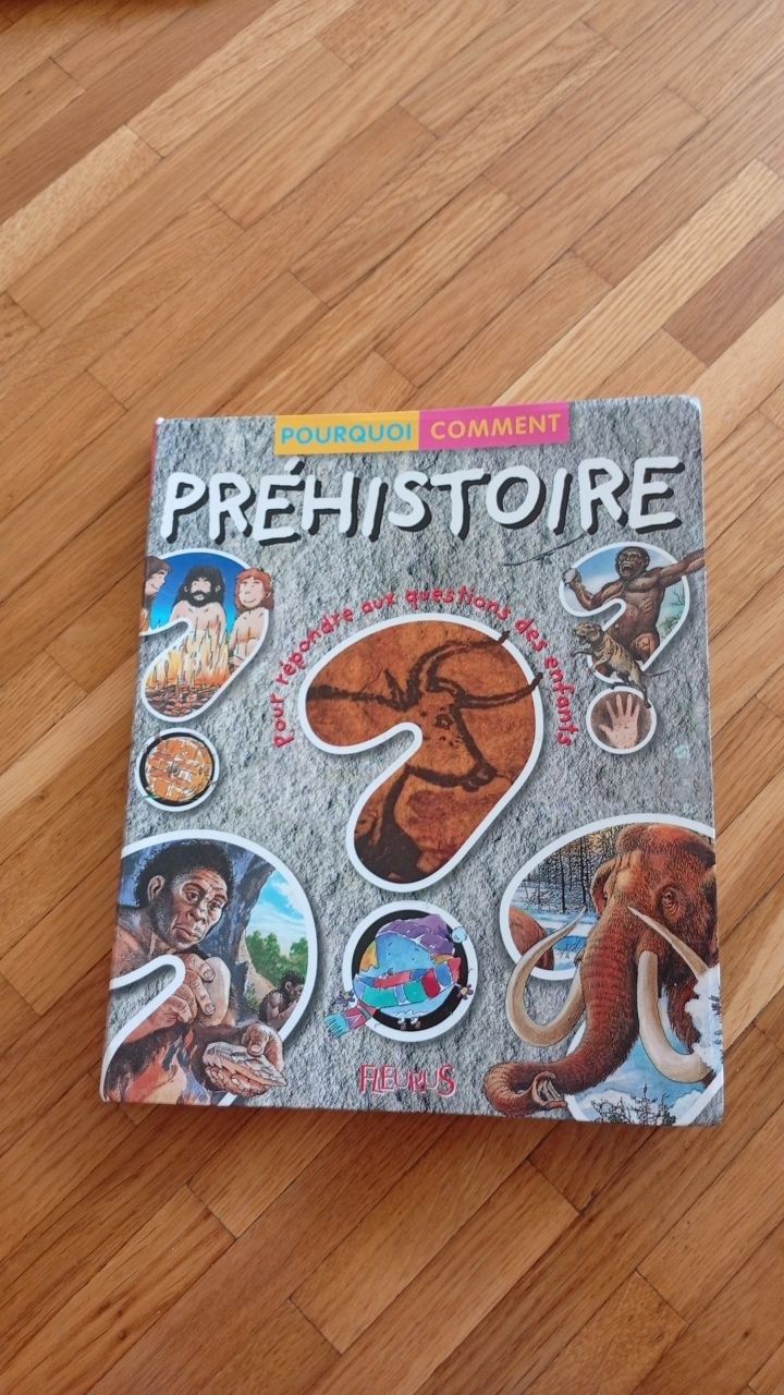 Libri: set de 3 livres "dinosaures" – Usato da Gland venduto da M_marc 1