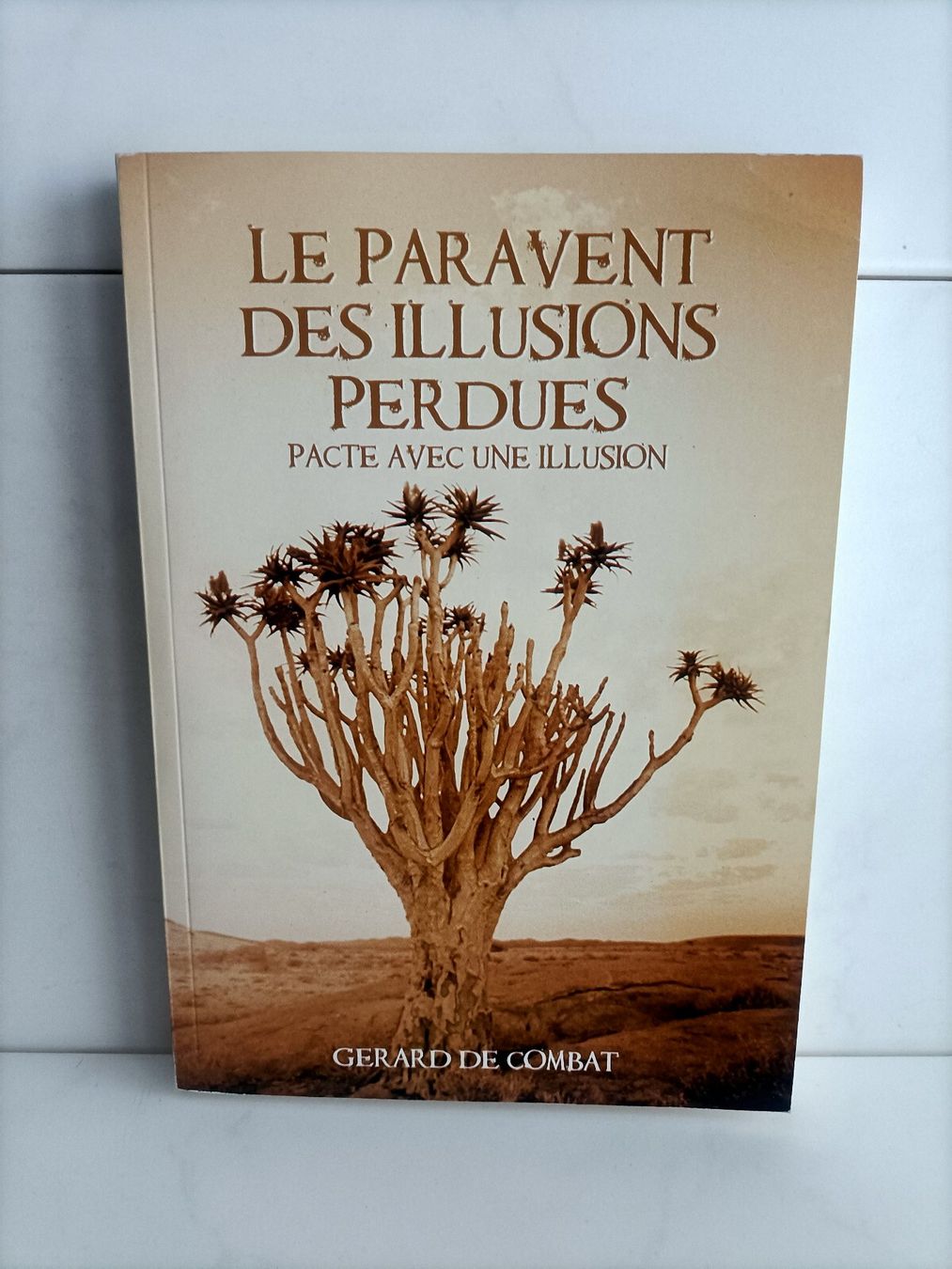 Libri: Le paravent des illusions perdues / Gérard de Combat / Gerde – Usato da crans montana venduto da AB3963