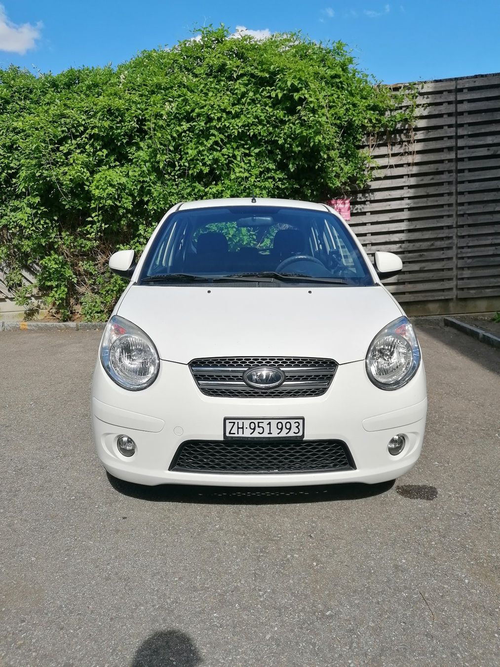 Kia Automobili: Kia Picanto 2009 Auto – Usato da Zürich venduto da ree_6sm9