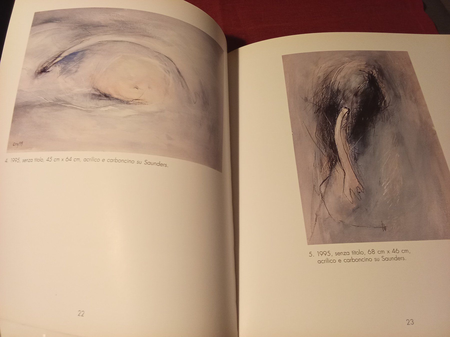 Libri: Alexandra Grosse - Brigitta Enz Bilder 1991-1995 – Usato da Remetschwil venduto da Privatflohmi 2