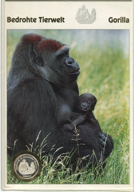 Tutti le monete: Silbermünze "Gorilla. 7.000 Francos Äquatorialguinea". PP. – Nuovo e nell'imballaggio originale da Basel venduto da Butsch5