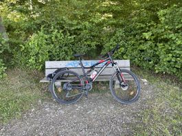 Rockrider Mountain Bike - Great Condition for Summer