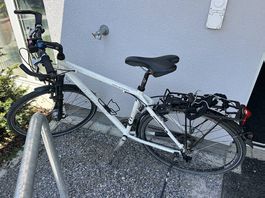 Damenfahrrad Steppenwolf Citybike 