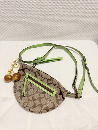Coach Mini Crossbody 2way Bag