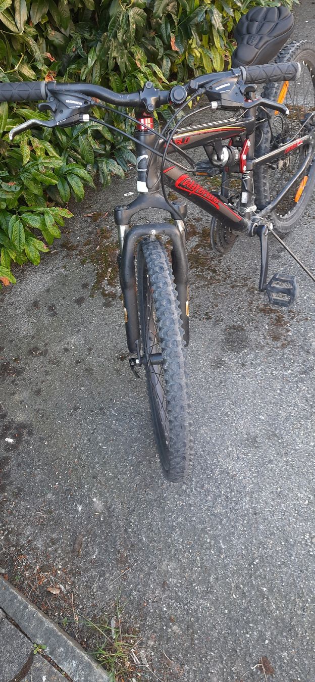 Velos: Velo für Kinder – Gebraucht aus Gossau SG von Uemmet 2