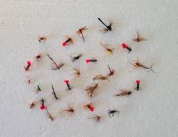 30 Stück verschidne Fliege