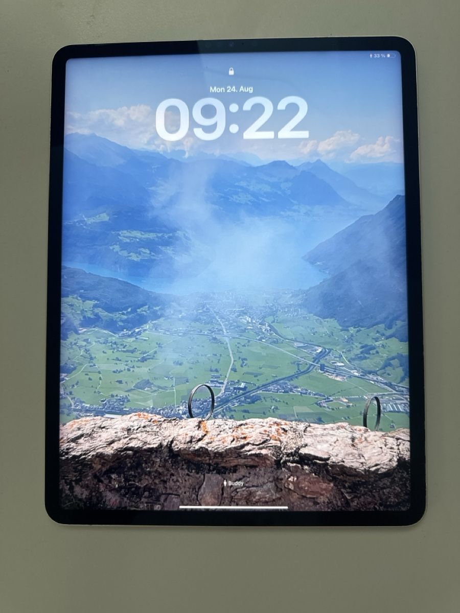 Apple Tablet PC: Apple iPad Pro 2021 (5. Gen) – Usato da Rapperswil SG venduto da hik_dzp2