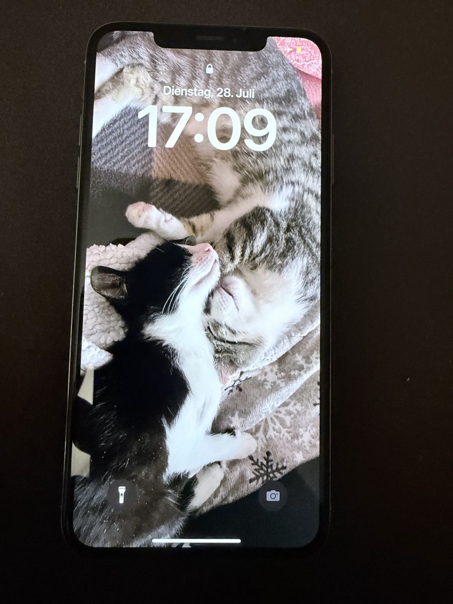 Apple Telefoni cellulari / Smartphones: iPhone XS Max – Usato da Wolfhausen venduto da nat_m62t 3