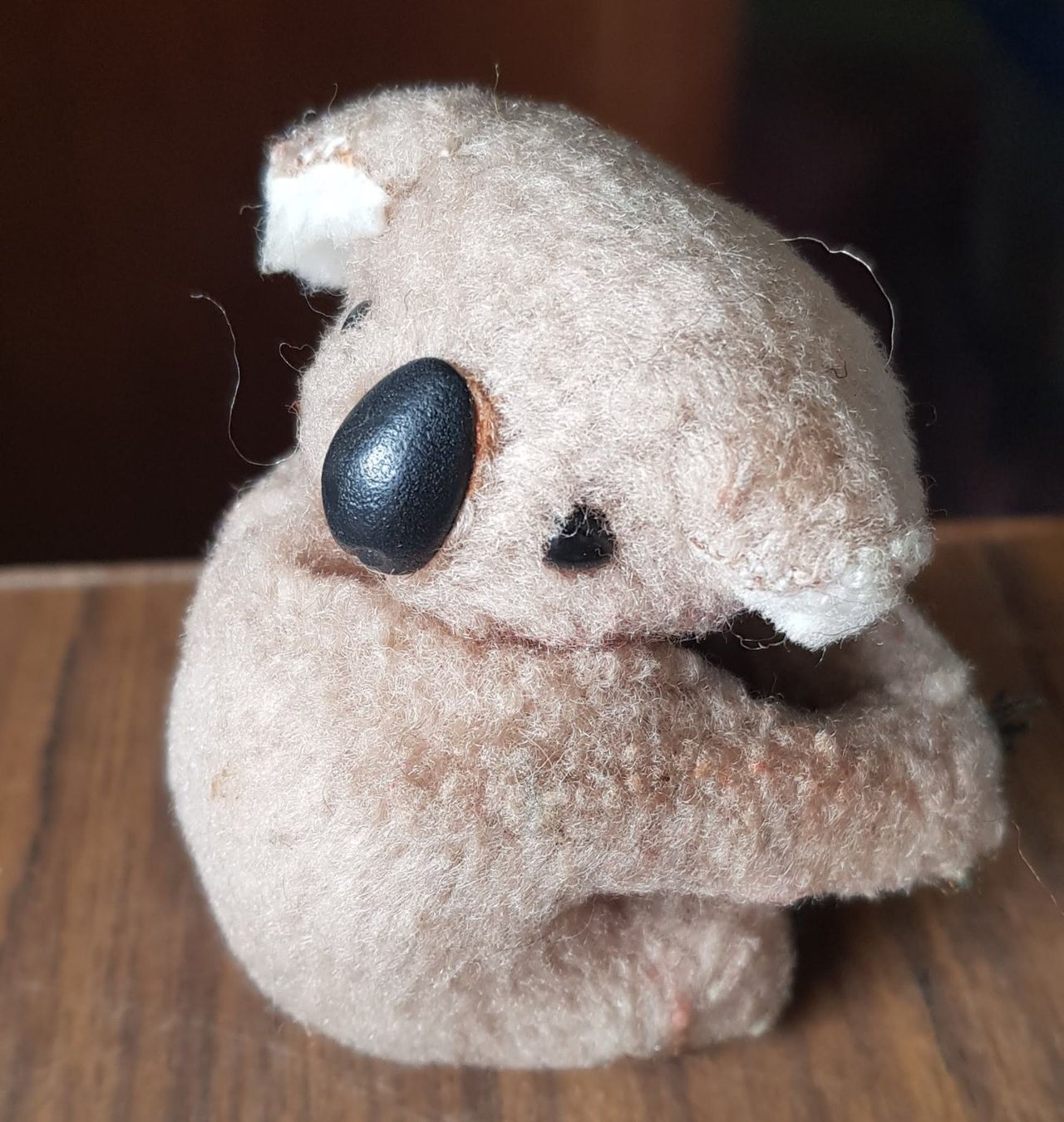 Giocattoli: Plüschtier Koala – Usato da Mörschwil venduto da lindaswunderkiste 4