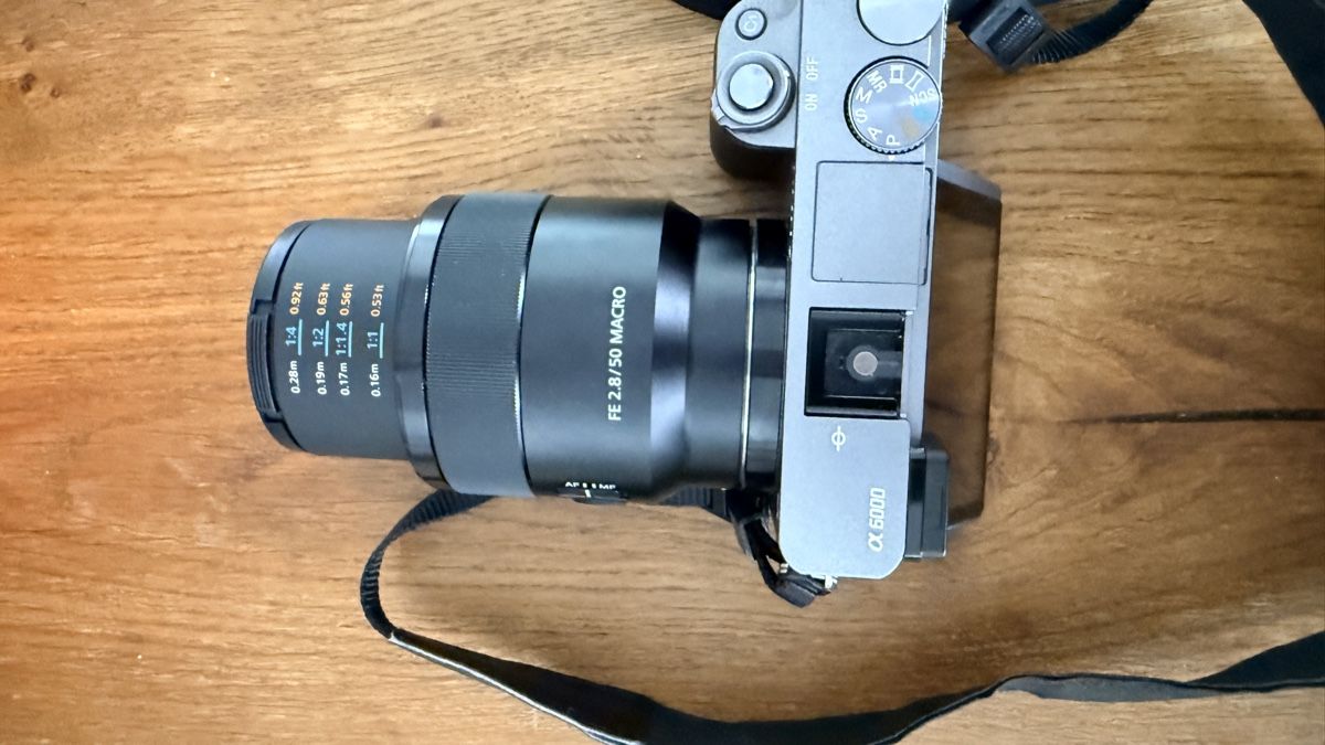 Sony Fotocamera: Sony Alpha 6000 Systemkamera guter Zustand – Usato da Buchrain venduto da Kindlein 9