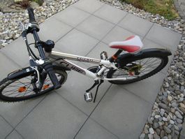 Kinder-Mountainbike Cube Team 240