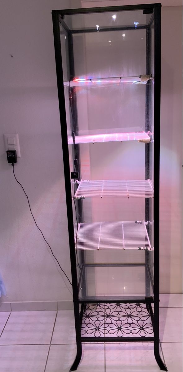 Vitrinen: Pflanzen Vitrine mit Beleuchtung – Gebraucht aus Zollikerberg von Jvac