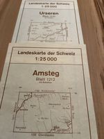 Landeskarte der Schweiz 1:25000, Amsteg und Urseren Top!