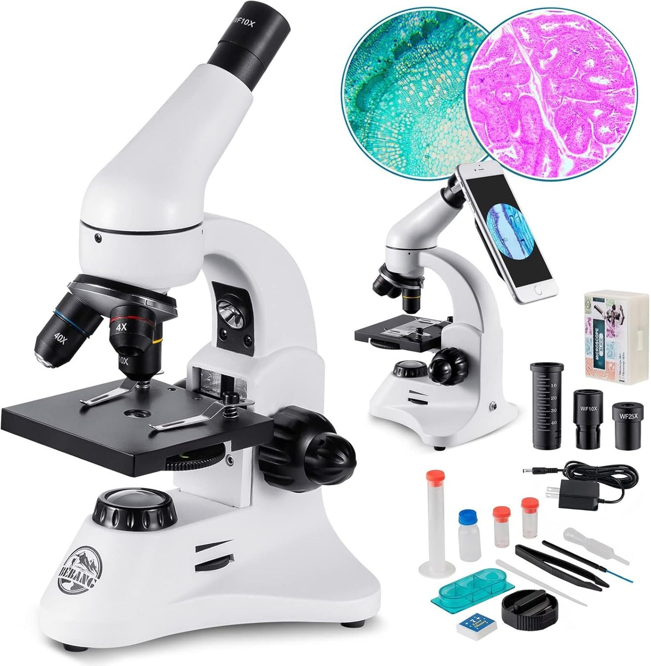 Microscopi: Optisches Mikroskop 40-2000x Dual Beleuchtung Komplettset – Nuovo e nell'imballaggio originale da St. Gallen venduto da RestpostenSG
