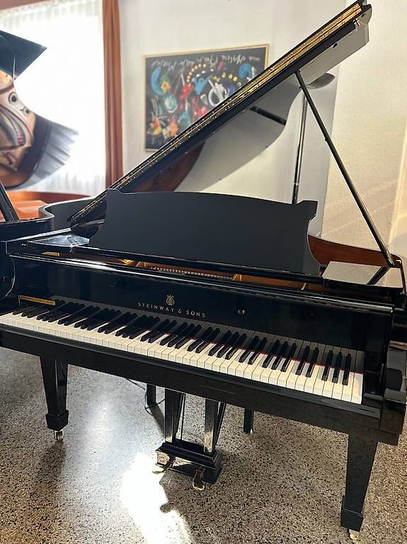 Steinway Strumenti musicali: Steinway & Sons O-180 – Usato da Bern venduto da Heutschipiano 2