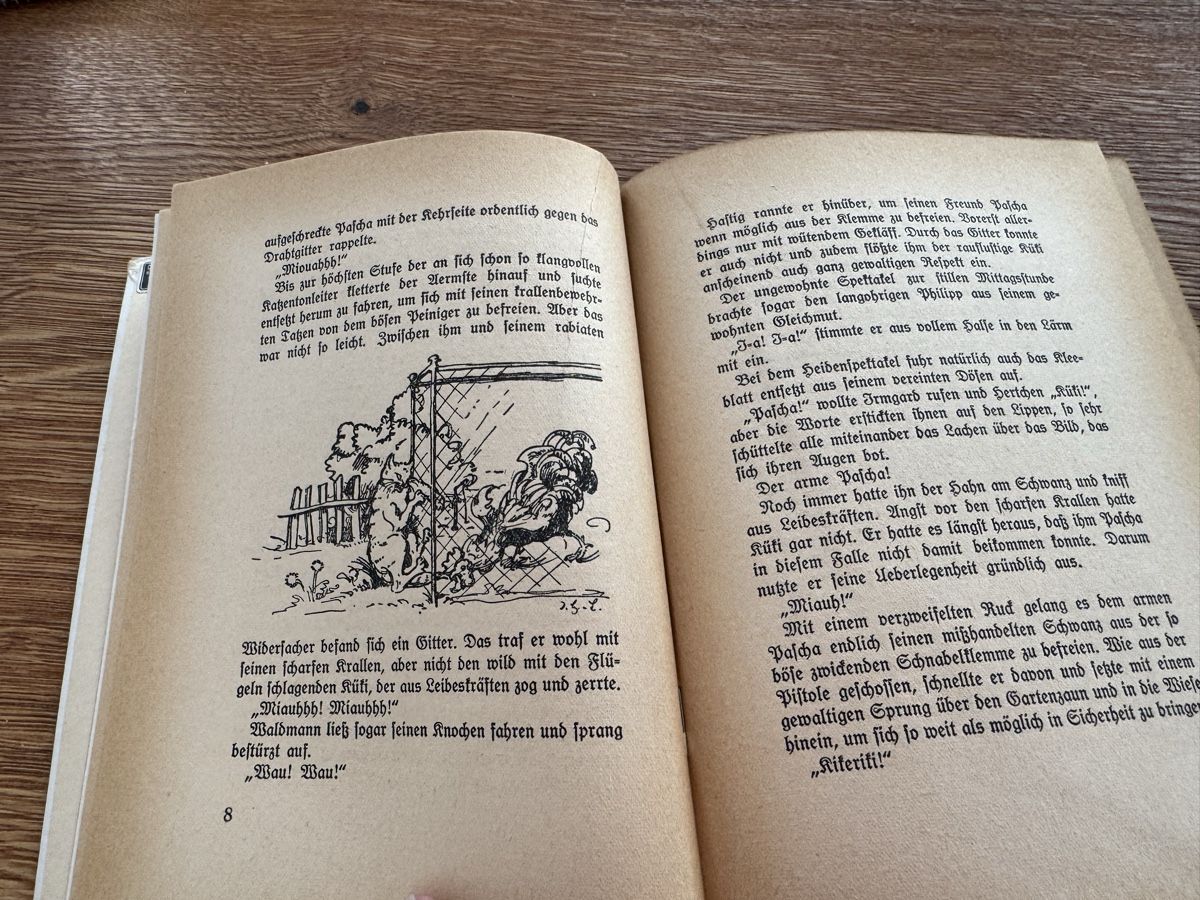 Libri: Kleeblatt auf Wanderfahrt von Adolf Löhr – Usato da Fehraltorf venduto da madewithlove 4