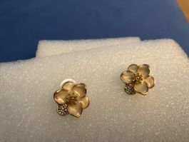 Schöne elegante Blumen Ohrstecker, weisse Blütenblätter, NEU