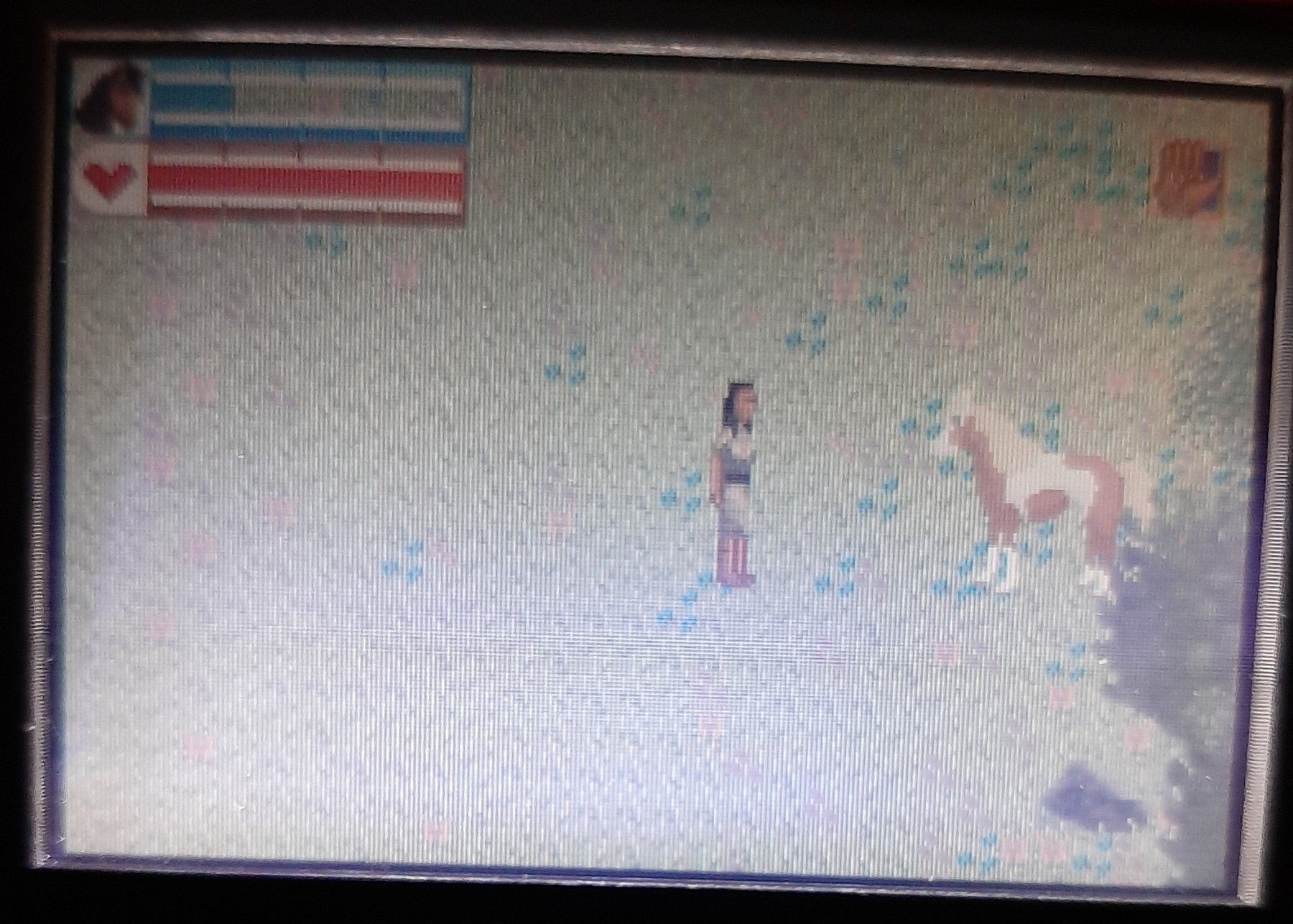 Nintendo Giochi: Spirit der wilde Mustang GBA – Usato da urdorf venduto da Boo24 4