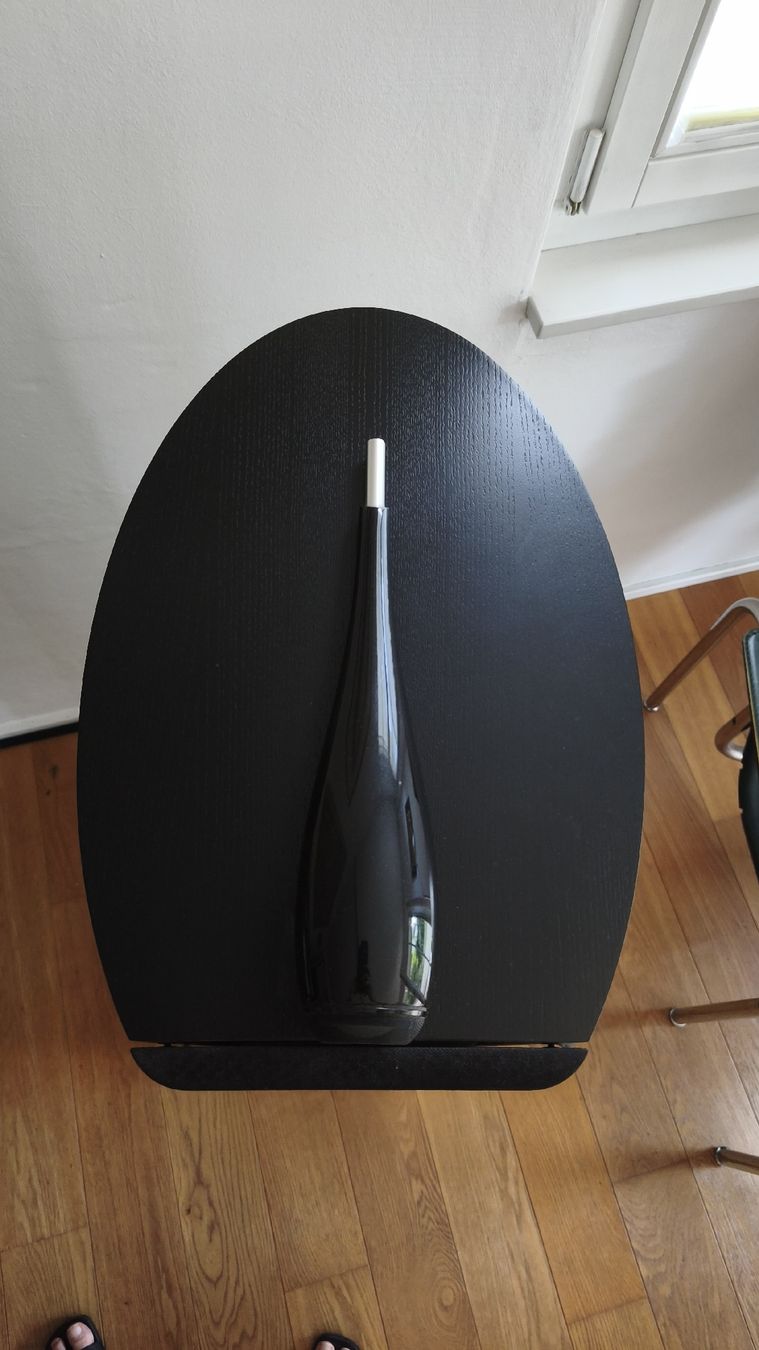 Bowers & Wilkins Lautsprecher: Standlautsprecher Bowers & Wilkins schwarz – Gebraucht aus Thun von kisc93 1