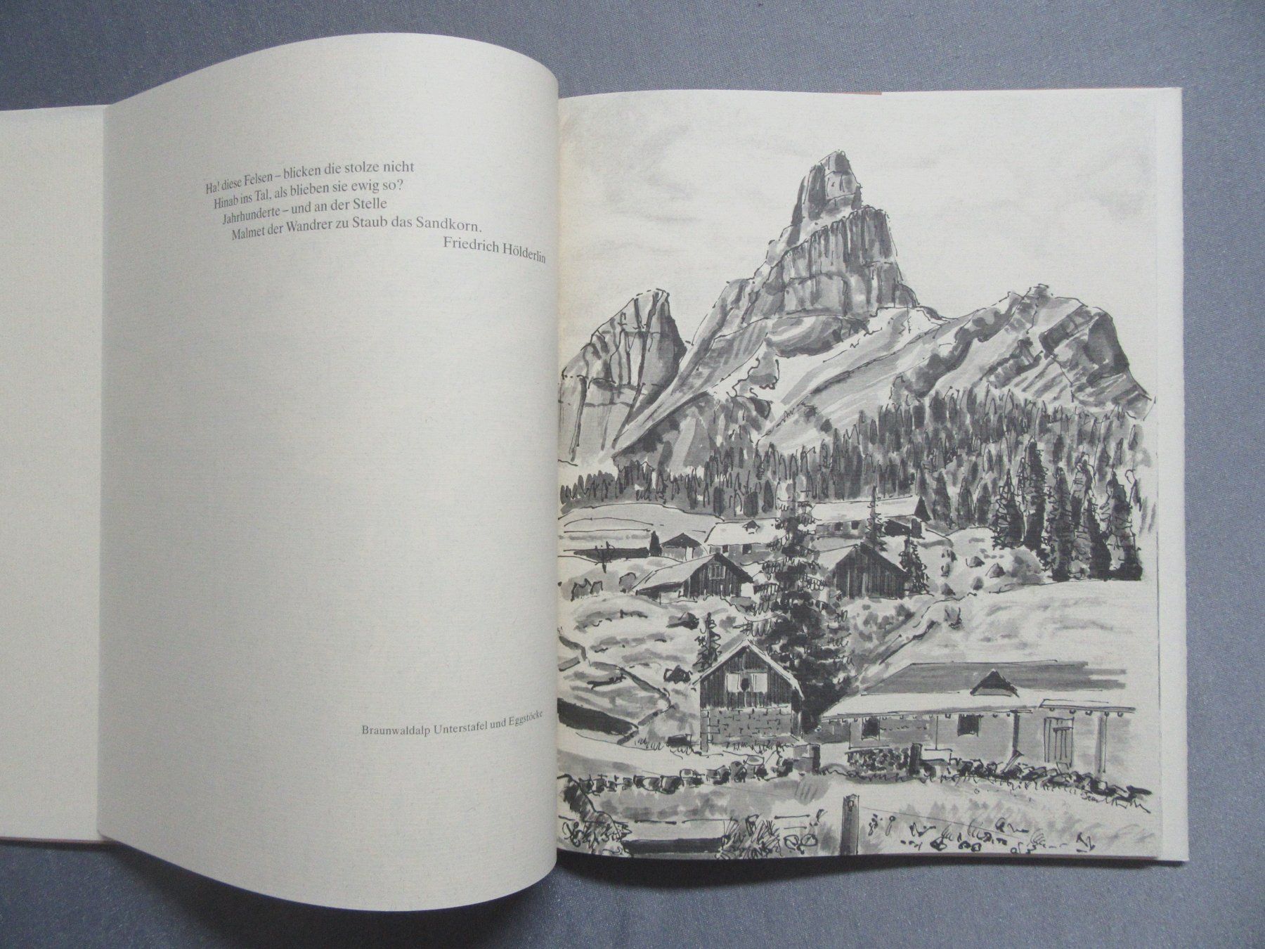 Libri: Braunwalder-Skizzen von Ernst Weber – Usato da Auenstein venduto da Padabimbim 2