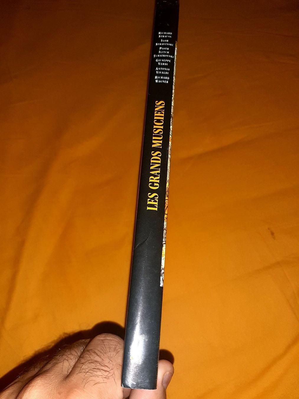 Bücher: Livre les grands musiciens – Neu (gemäss Beschreibung) aus Le locle von juliensaran 1