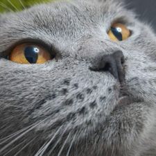 Profile image of jer_tb65