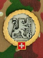 Béretemblem Felddivision 6 Goldkranz, Variante 1