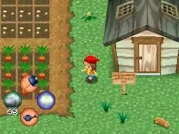 Nintendo Spiele: Harvest Moon mein Inselparadies   DS – Gebraucht aus Schüpfheim von Games_Spielkonsolen 5