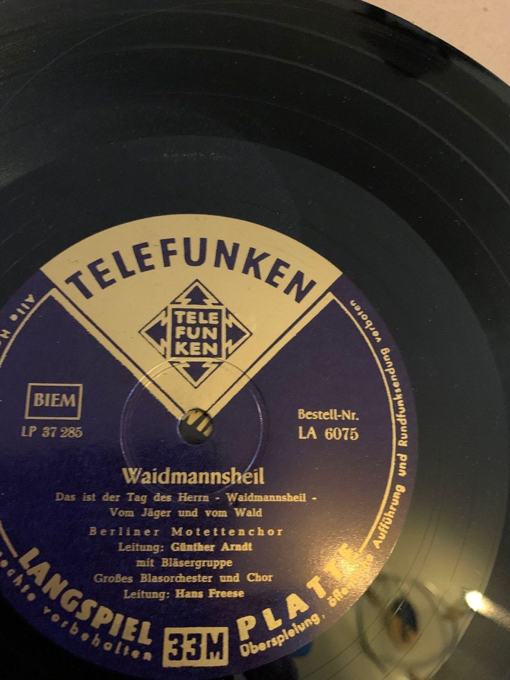 Dischi in vinile: Schellack Platten in Album – Usato da St. Gallen venduto da Adwen 3