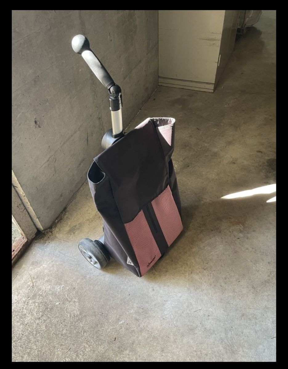Autres articles pour la maison: Einkaufstrolley mit Tasche   – D'occasion à Mellingen par DAMI7682 1