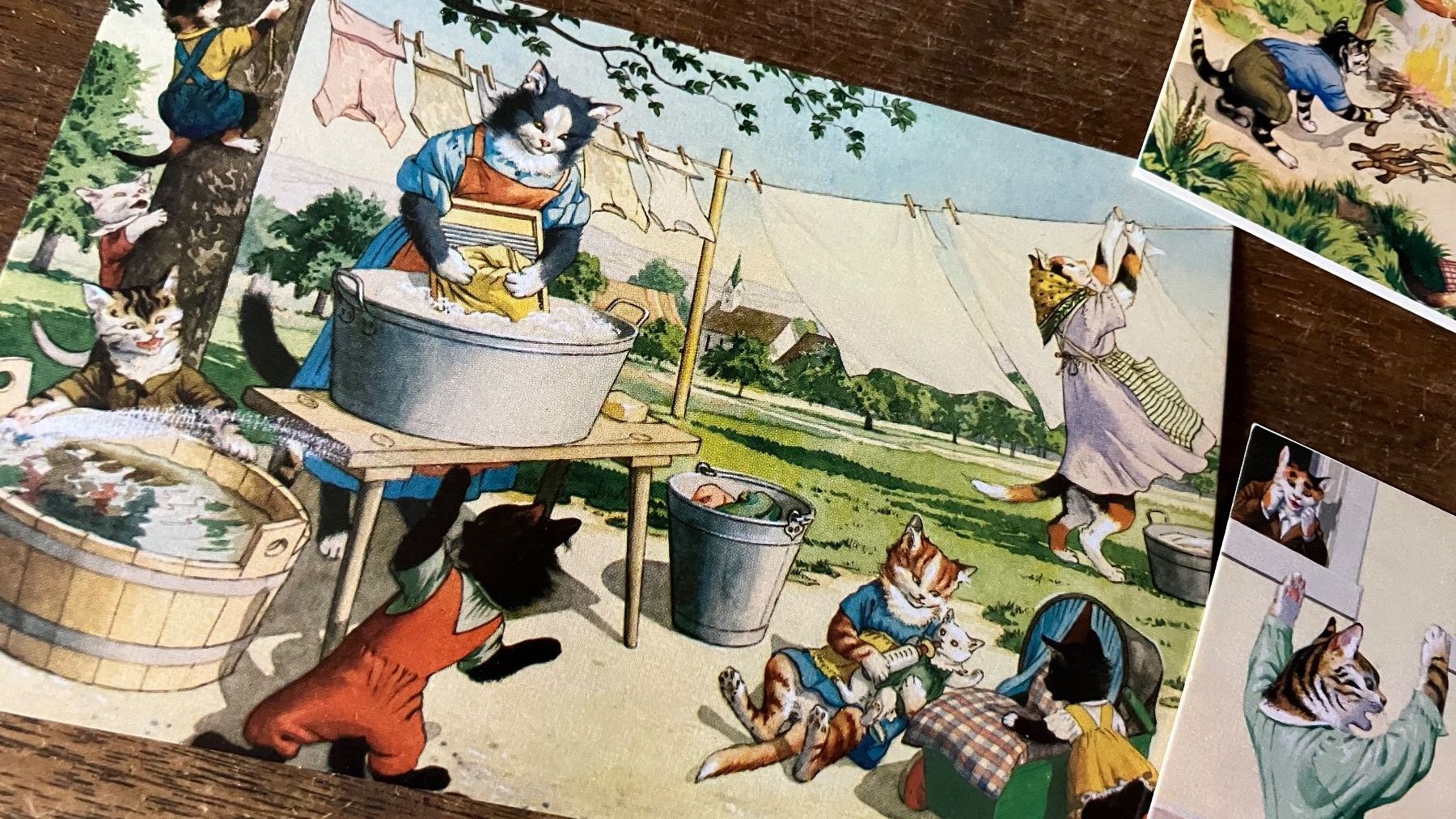 Cartoline postali: Cartes postales Katz chat Postkart vintage – Usato da St-Cierges venduto da LeRegain 1