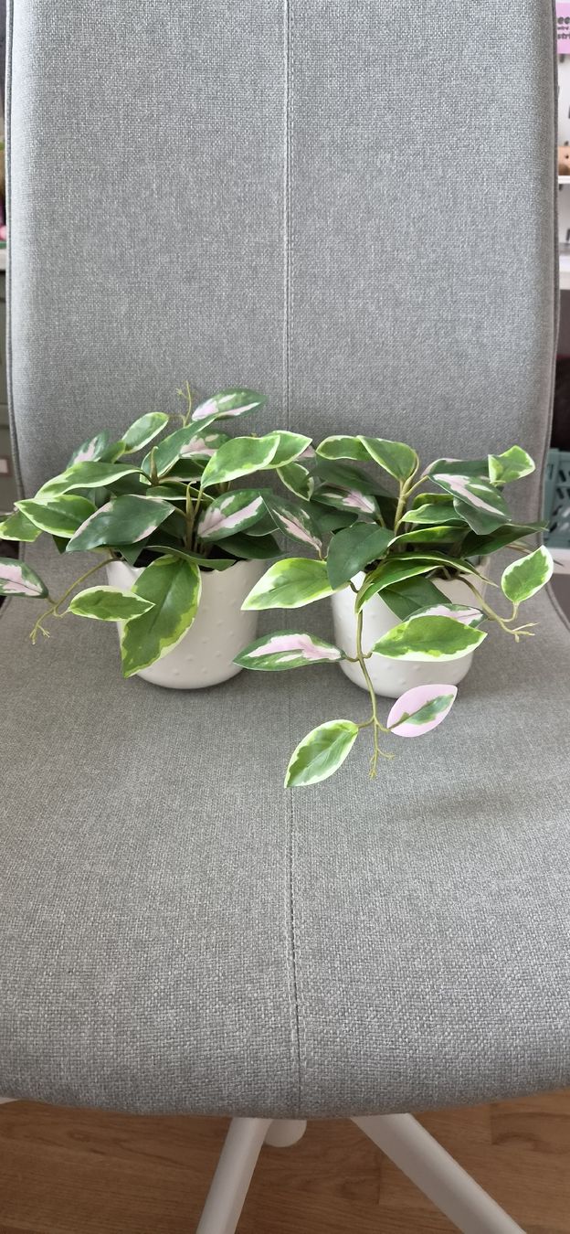 Plantes & graines: 2 Ikea Kunstplanzen mit Topf – Neuf avec emballage d'origine à Zürich par c.line89