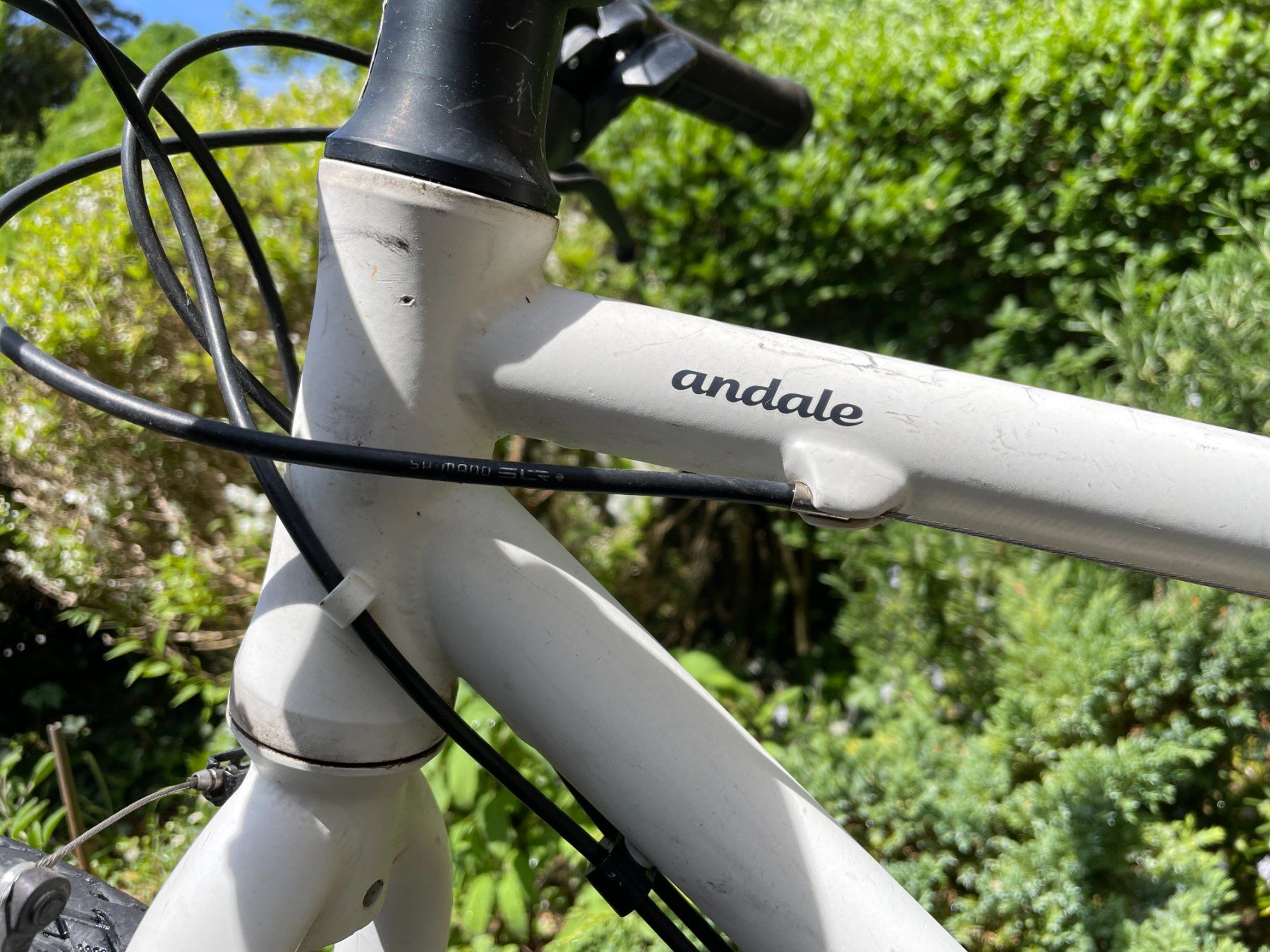 MTB Cycletech Biciclette: MTB Cycletech Andale 28 Man Magnesiumweiss Matt – Usato da Zürich venduto da lar_8z5c 2
