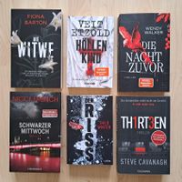 6x Thriller, Romane