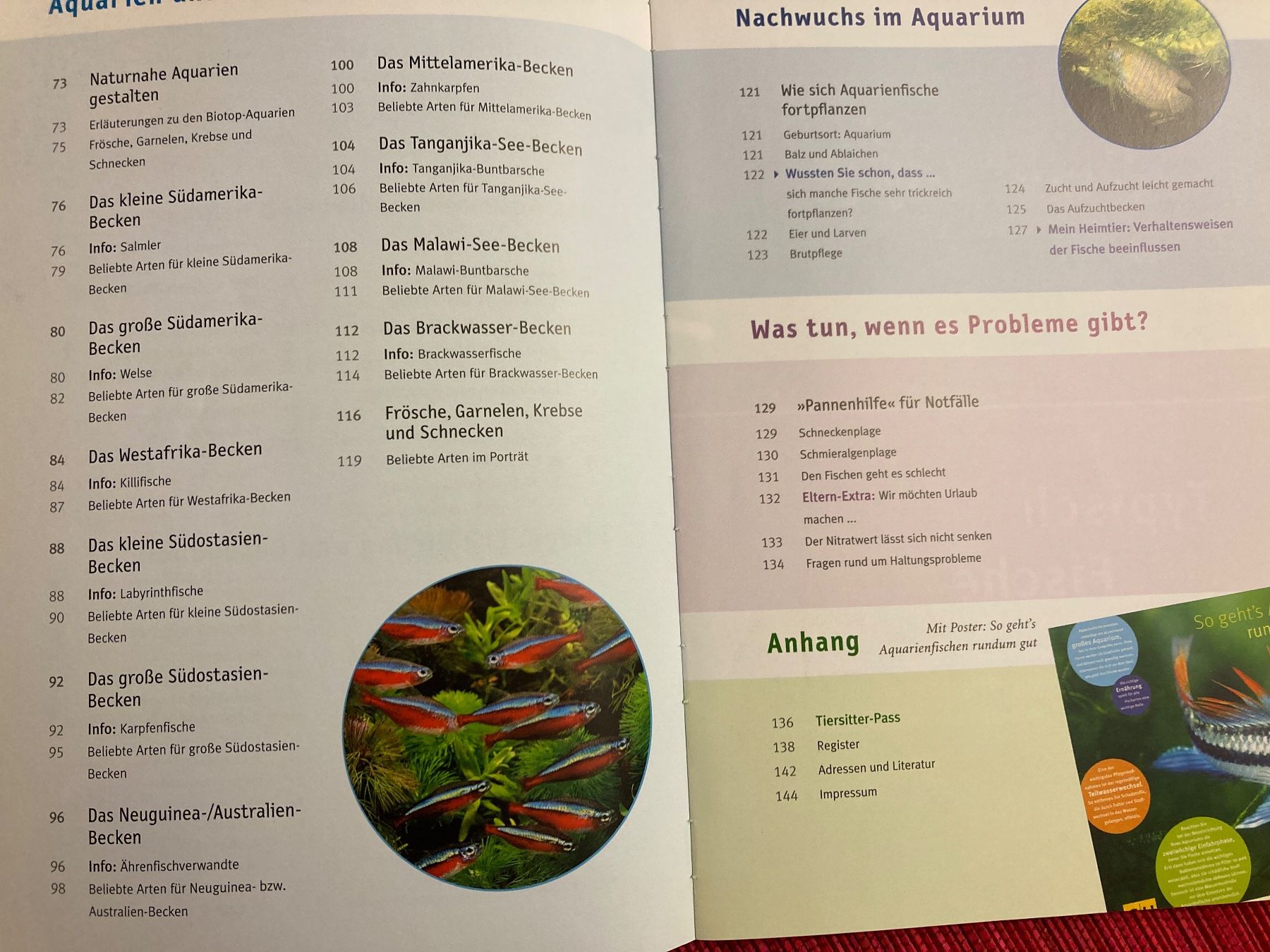 Bücher: Mein Aquarium – Gebraucht aus Baden von Yoyo1 3
