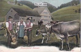 Appenzellerland  AR  -  SENNEN  &  Kühe     ca. 1900
