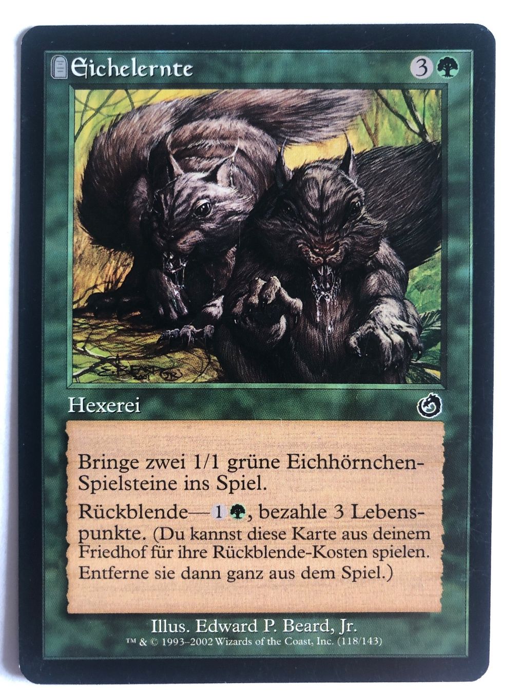 Magic The Gathering Sammelbilder & Trading cards: MTG - Eichelernte – Gebraucht aus Basel von Melchior5